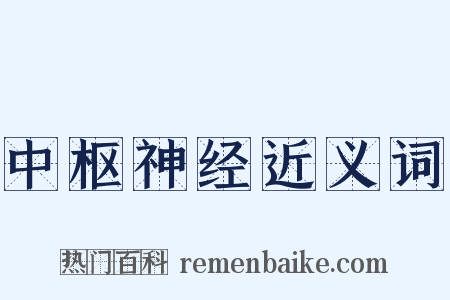 中枢神经近义词是什么意思的图片